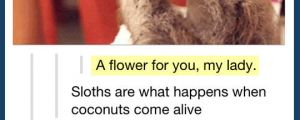 The definition of sloths…
