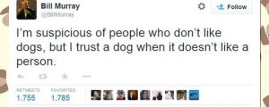 People Who Don’t Like Dogs