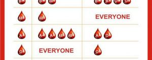 Easy Blood Type Guide