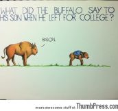 What did the buffalo say to his son?