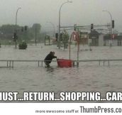 Must… Return… Shopping… Cart