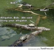 “Bob, we told you to bring your own alligator.”
