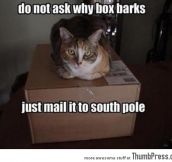 Send barking box to south pole