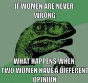 If women are never wrong…
