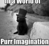 Purr Imagination