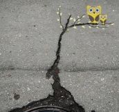 Simple yet awesome street art