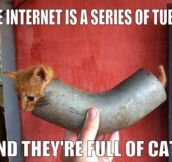 The internet is series of tubes