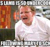 Nothing will ever please Chef Ramsay…