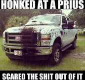 Scared Prius…