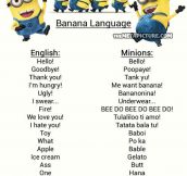Want to understand Minions?