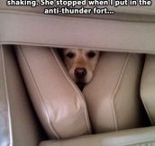 The anti-thunder fort…