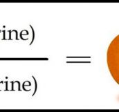 Math puns are the first sine of madness…
