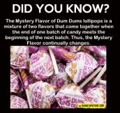 Mystery Dum Dums…