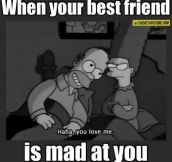 When your best friend is upset…