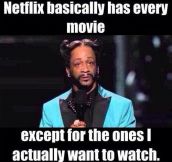 How Netflix works…