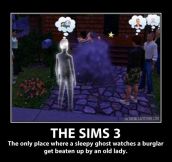 The Sims can get pretty weird…