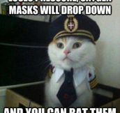 Captain Kitty…