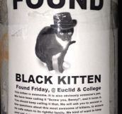 Black kitten found…