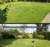 Lawn mowing made easy…