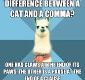 The difference between a cat and a comma…