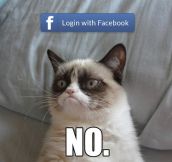 Whenever I’m asked to login with Facebook…