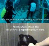 Underwater report…