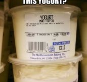 Fresh yogurt…