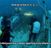 And now for the underwater report…