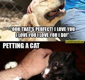 Petting a dog vs. petting a cat…