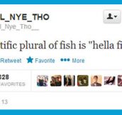 The plural of fish…