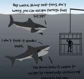 Sharks are nice guys…