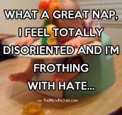 What a great nap…