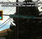 Options on the road of life…