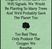 If trees gave off Wi-Fi…