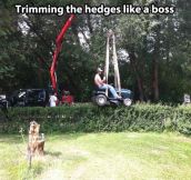 Trimming the hedges…