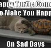 Happy turtle makes you happy…