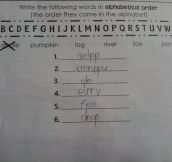 Awesome second grader who is autistic, takes instructions literally!