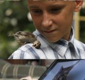 This boy found and fixed a small bird and now they’re inseparable…