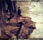 You see a lake? Better look twice…