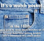 The watch pocket…