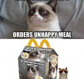 Grumpy Cat at McDonalds…
