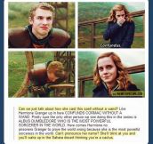 Hermione is the true badass…