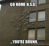 Go home NSA…