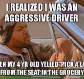 Aggressive driver…