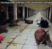 Colleges in India…