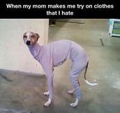 Trying clothes with parents…