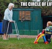 The real circle of life…