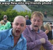 Wasp attack…