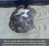 Retired ninja turtle…
