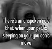 Unspoken rule…